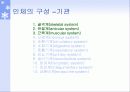 생체역학의 개요 21페이지