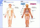 생체역학의 개요 22페이지