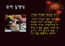 저출산의 원인 및 문제점 16페이지