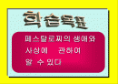 페스탈로치의 생애와 사상 1페이지