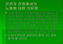 노화에 대해-노화의 원인,노화방지,수명연장 4페이지