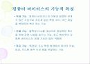 컴퓨터 바이러스 개요 및 대응 전략 4페이지