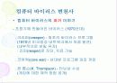 컴퓨터 바이러스 개요 및 대응 전략 12페이지