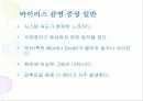 컴퓨터 바이러스 개요 및 대응 전략 17페이지