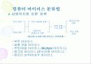 컴퓨터 바이러스 개요 및 대응 전략 18페이지