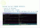 컴퓨터 바이러스 개요 및 대응 전략 30페이지