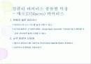 컴퓨터 바이러스 개요 및 대응 전략 31페이지