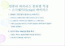 컴퓨터 바이러스 개요 및 대응 전략 33페이지