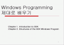 Windows Programming제대로 배우기 1페이지