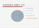 분산 처리시스템을 위한 계층적 운영체제 4페이지