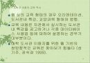 효과적인 웹 기반 도서관 이용자 교육 17페이지