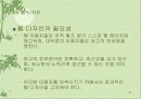 효과적인 웹 기반 도서관 이용자 교육 45페이지