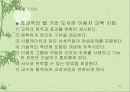 효과적인 웹 기반 도서관 이용자 교육 52페이지