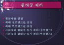 SAP을 이용한 강판형교의 설계 및 해석 34페이지
