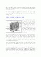 스포츠 마사지의 역사 14페이지