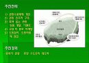 제주관광의 현황과 문제점 7페이지
