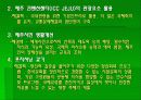 제주관광의 현황과 문제점 16페이지
