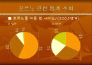 [성과 문화]포르노에 대한 프레젠테이션 2페이지