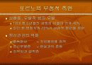 [성과 문화]포르노에 대한 프레젠테이션 7페이지