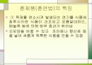 가공식품에 대해 6페이지