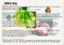 양파의 효능 2페이지