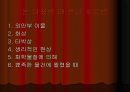 눈에 좋은 음식과 습관 19페이지