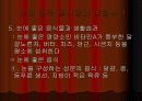 눈에 좋은 음식과 습관 44페이지