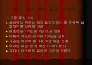 눈에 좋은 음식과 습관 46페이지