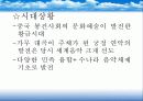 중국 고대음악 23페이지