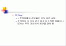 계획과 전략경영 45페이지