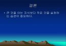 소프트웨어 개발 방법론과 그 사례;부제 큰 것을 아는 지식보다 작은 것을 실천하는 습관의 중요성 11페이지