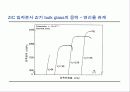 21C 시장을 지배할 New Product 39페이지