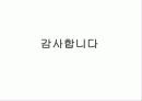 차세대 침입방지시스템의 시장 및 기술동향 98페이지
