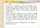 맞벌이가족과 가족복지 파워포인트 2페이지
