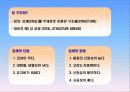 강구조물과 공법조사[강교량] 4페이지