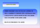 강구조물과 공법조사[강교량] 14페이지