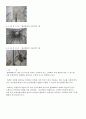 엘리베이터 구조와 안전 7페이지