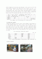 [경영학] 삼성 테스코 홈플러스의 성공요인 분석 6페이지