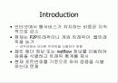 인터넷 응용 식별의 문제점 3페이지