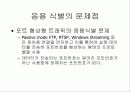 인터넷 응용 식별의 문제점 11페이지