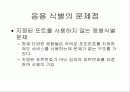 인터넷 응용 식별의 문제점 12페이지