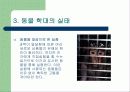 동물 학대 7페이지