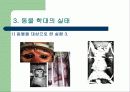 동물 학대 10페이지