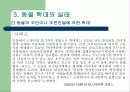 동물 학대 15페이지