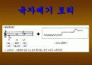 진도아리랑 4페이지