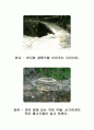 담양 소쇄원 답사보고서 14페이지