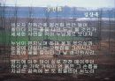 시의 세계 27페이지