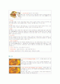 아시아 국가의 쌀 이용 음식 4페이지