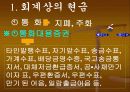 현금 및 현금등가물 3페이지