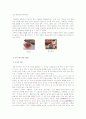 한국의 명절음식 12페이지